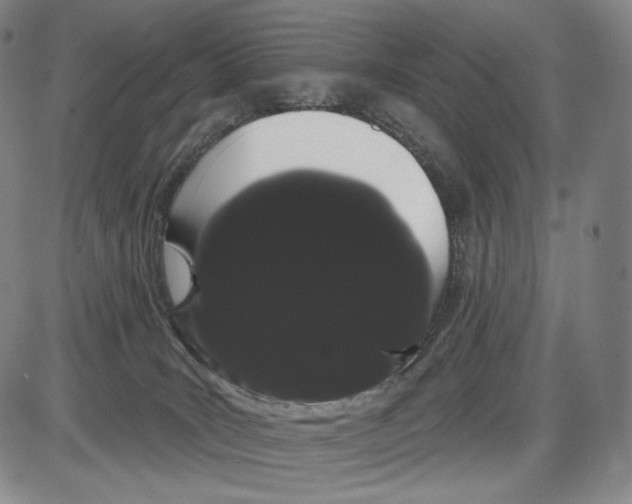 X0000085040035200704021305