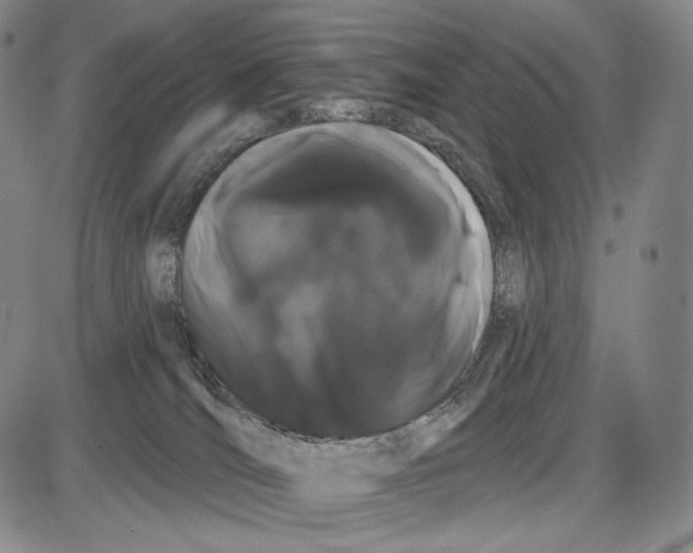 X0000085040036200704021305