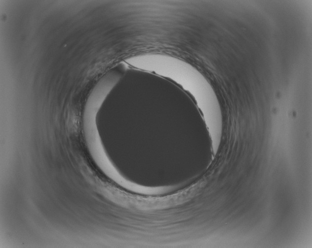 X0000085040039200704021305