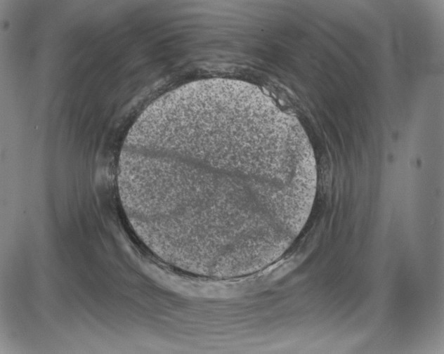X0000085040040200704021305