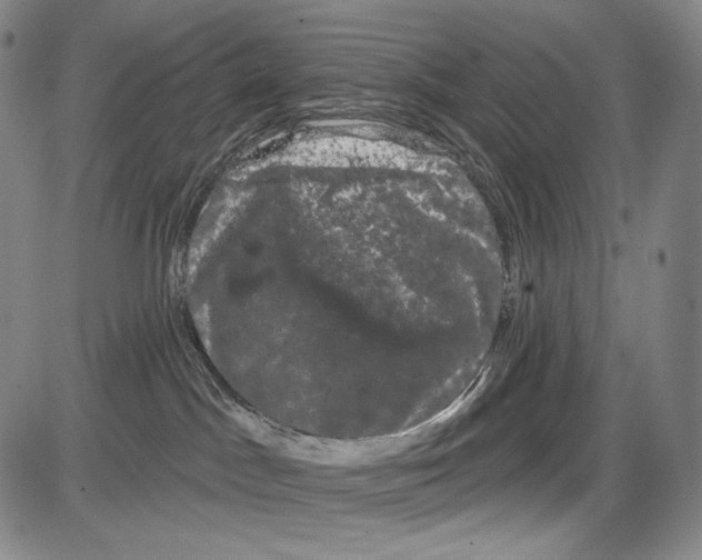 X0000085040045200704021305