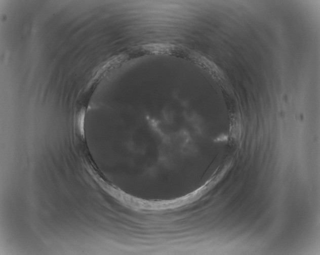 X0000085040047200704021305