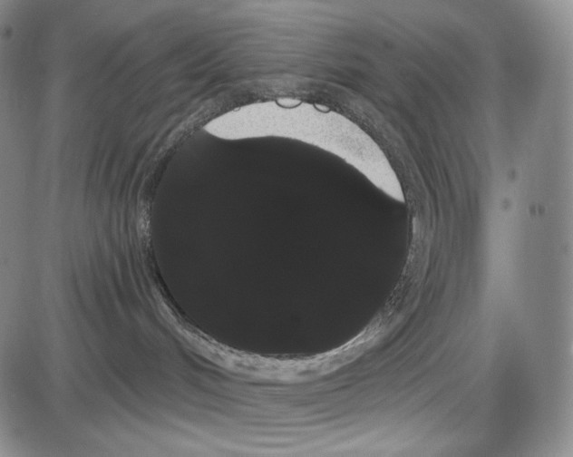 X0000085040048200704021305