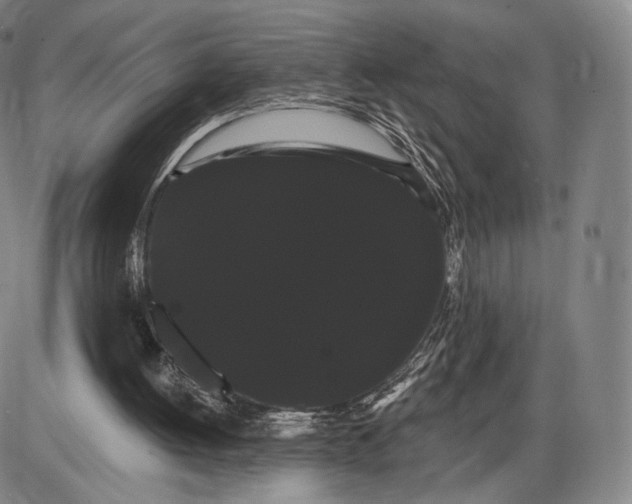 X0000085040052200704021304