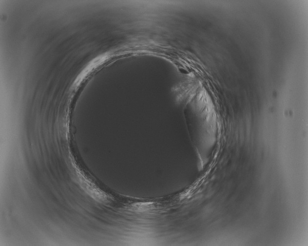 X0000085040054200704021304