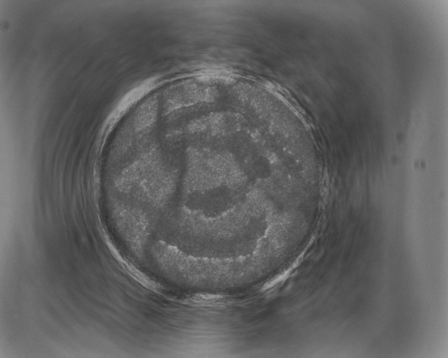 X0000085040055200704021304