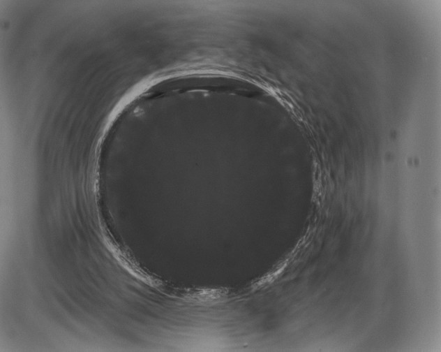 X0000085040056200704021304