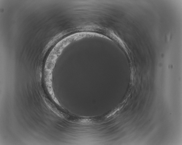 X0000085040059200704021304