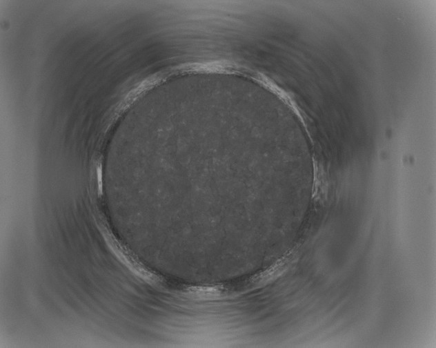 X0000085040061200704021304