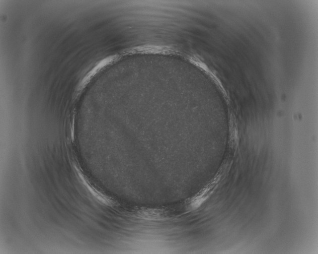 X0000085040062200704021304