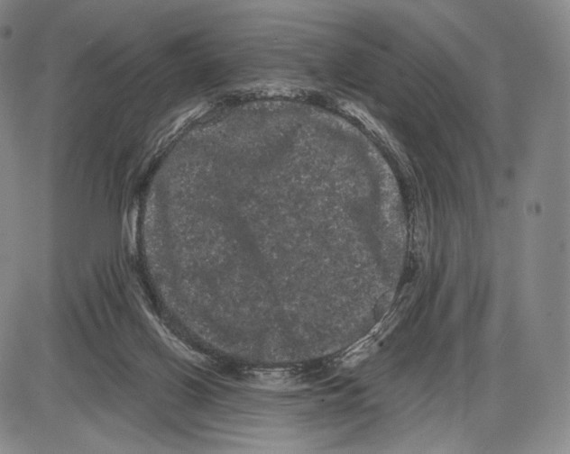 X0000085040070200704021304