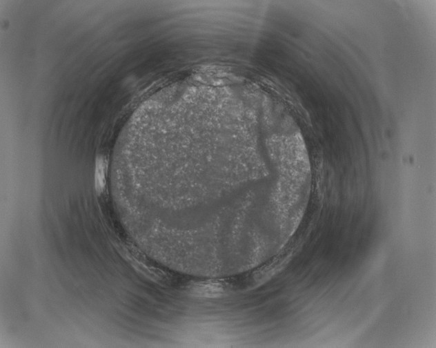 X0000085040075200704021304