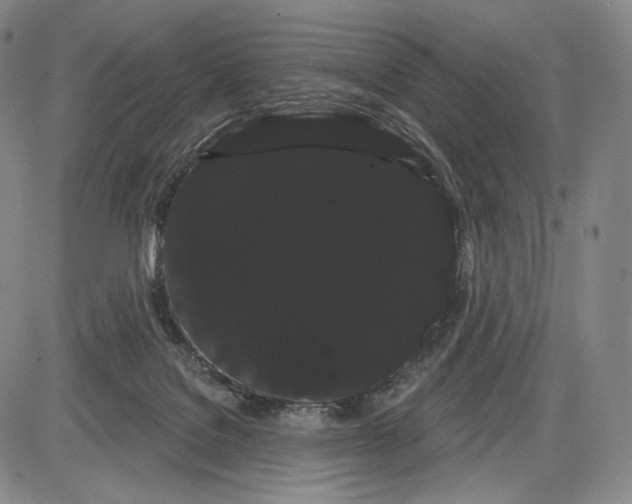 X0000085040076200704021304