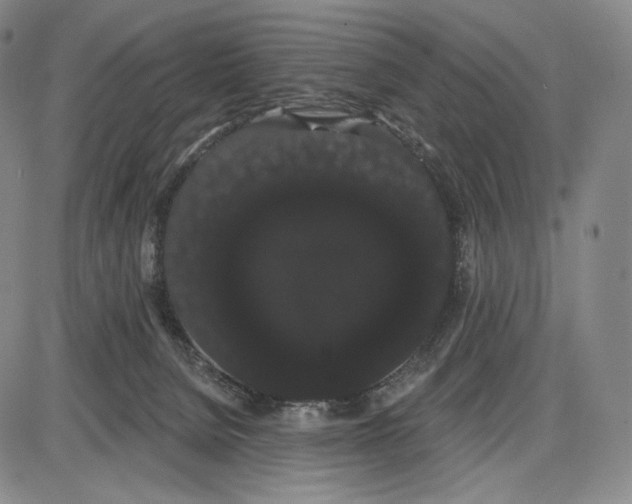X0000085040080200704021304