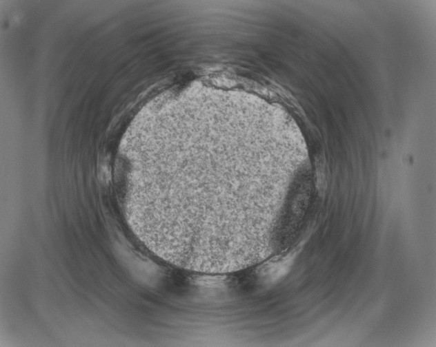X0000085040085200704021304