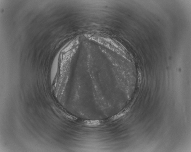 X0000085040088200704021305