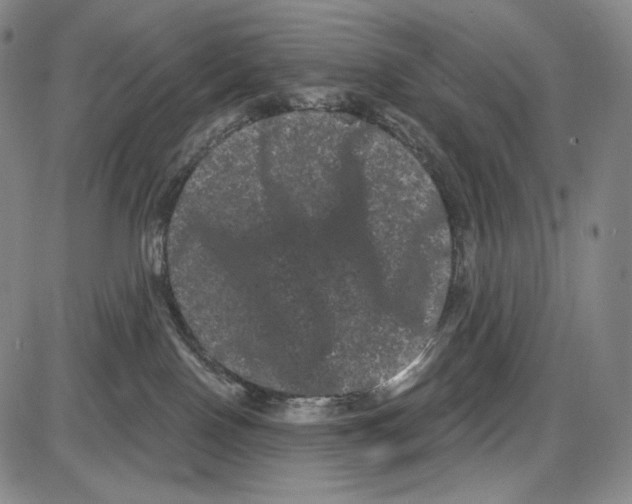 X0000085040090200704021305