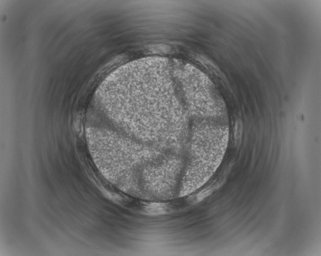 X0000085040091200704021305