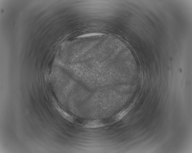 X0000085040093200704021305