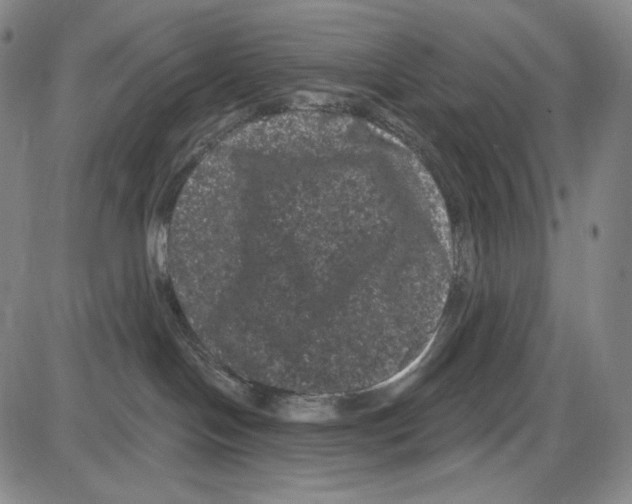 X0000085040094200704021305