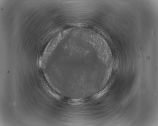 X0000085040095200704021305