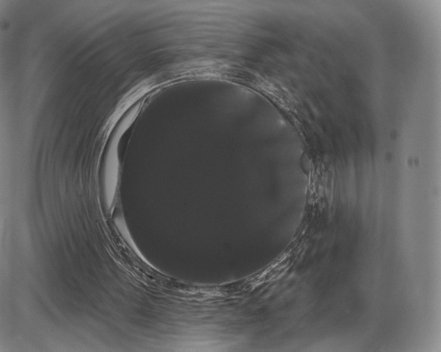 X0000085040099200704021304