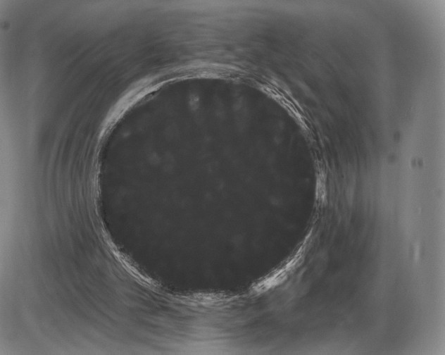 X0000085040101200704021304