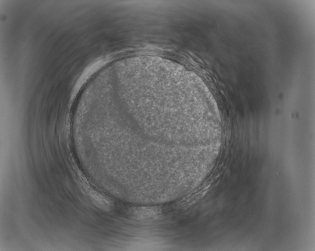 X0000085040102200704021304