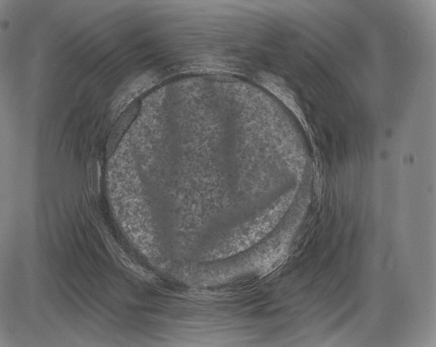 X0000085040109200704021304