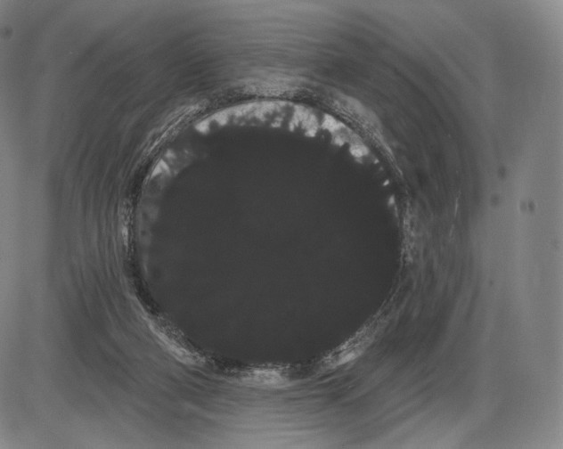 X0000085040114200704021304