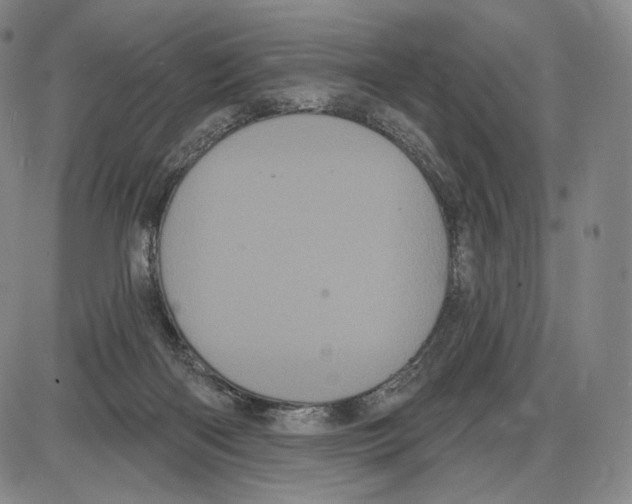 X0000085040122200704021303