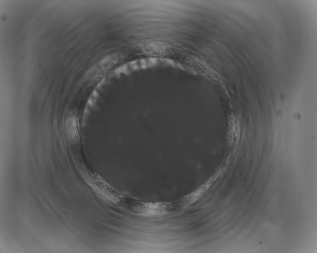 X0000085040130200704021303