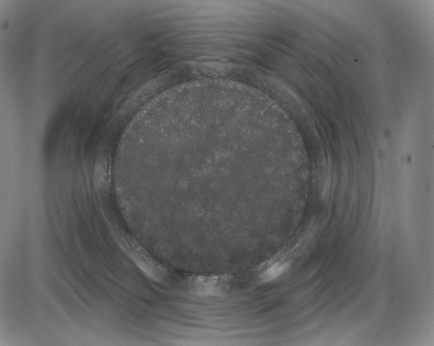 X0000085040134200704021303