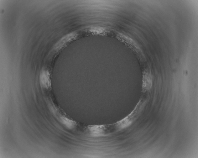 X0000085040136200704021303