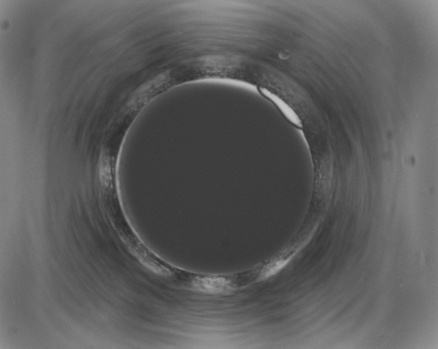 X0000085040137200704021303