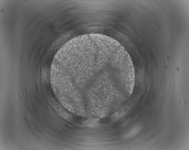X0000085040138200704021303