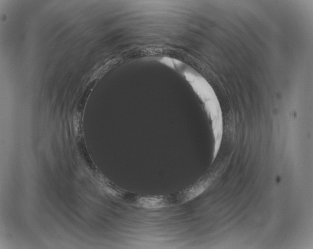 X0000085040139200704021303