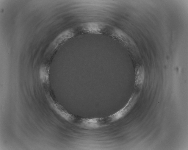 X0000085040140200704021303
