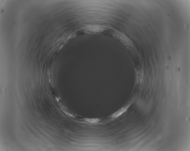 X0000085040143200704021303