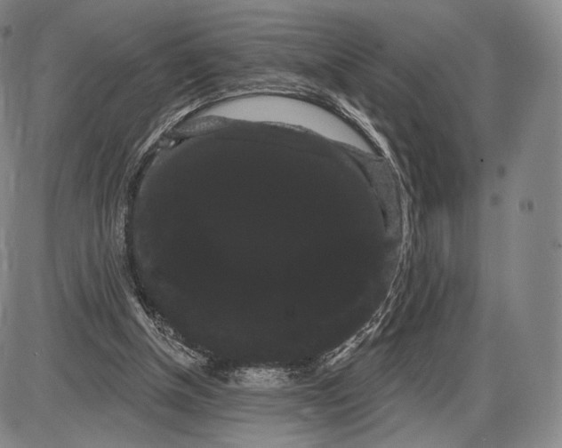 X0000085040154200704021302