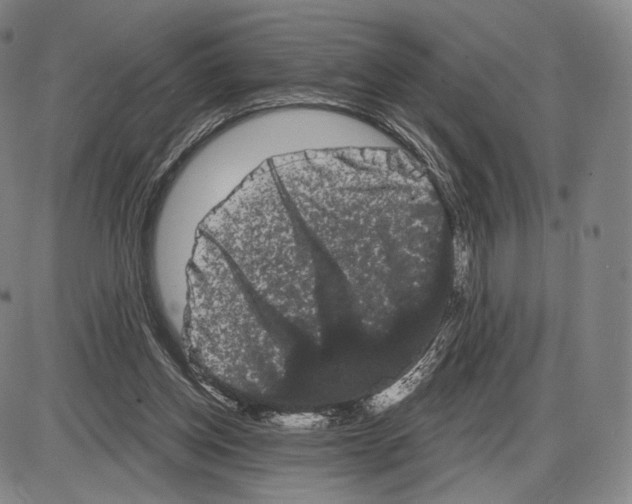 X0000085040158200704021303