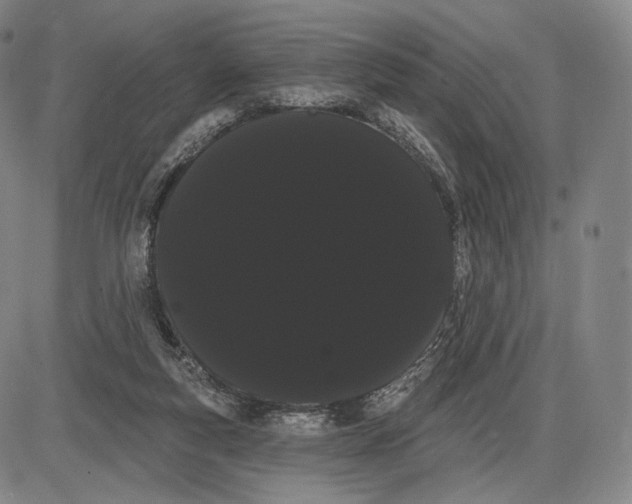X0000085040163200704021303