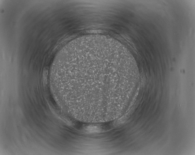 X0000085040171200704021303