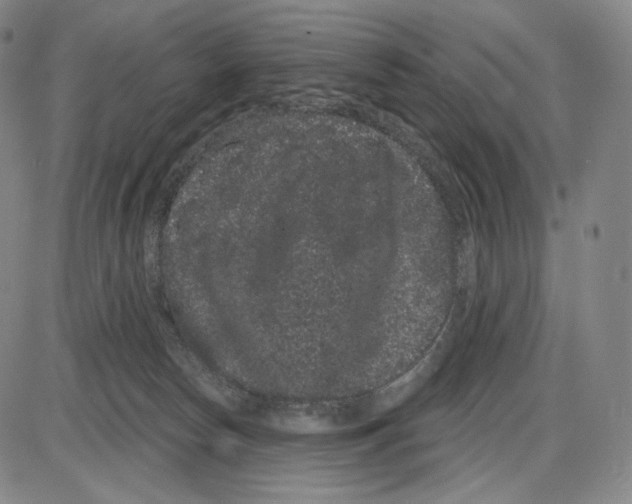 X0000085040178200704021303