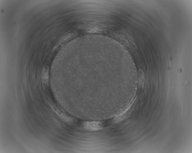X0000085040179200704021303