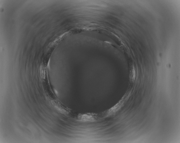 X0000085040180200704021303