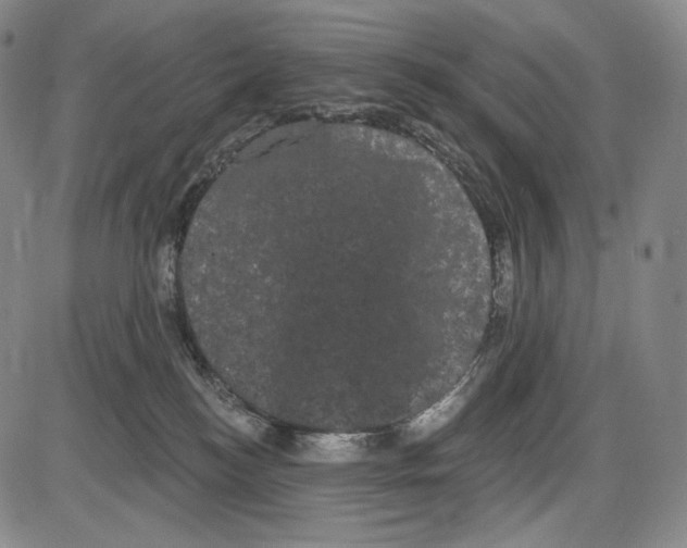 X0000085040184200704021303
