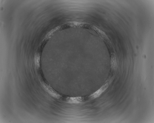 X0000085040188200704021303