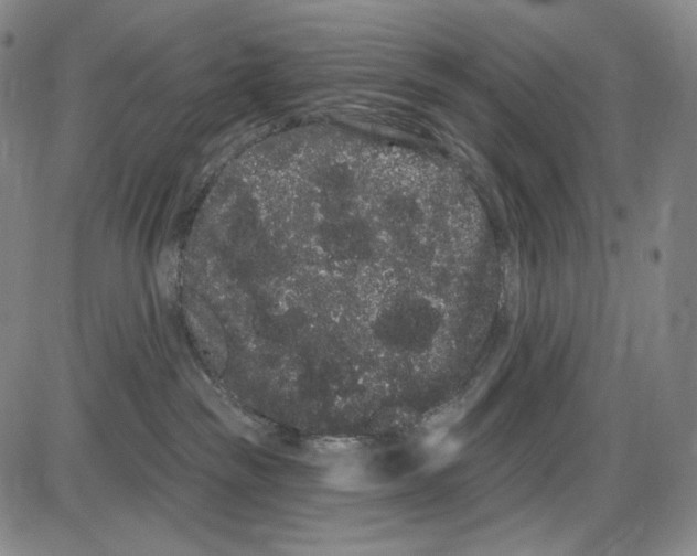 X0000085040189200704021303