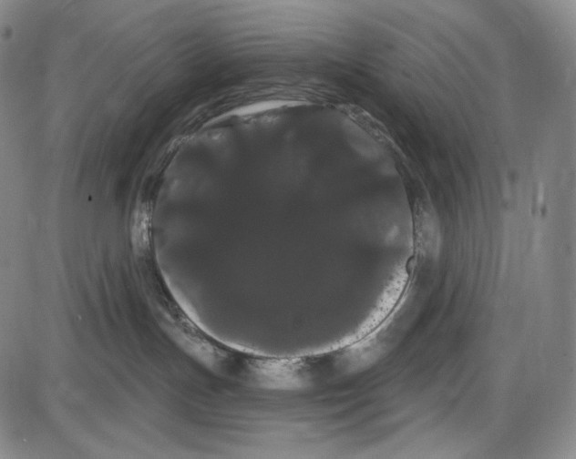 X0000085040191200704021303